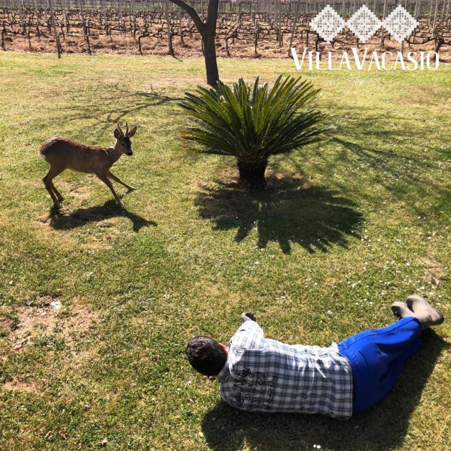 Agriturismo Eco-Bio Villa Vacasio Pitigliano Zewnętrze zdjęcie