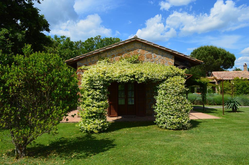 Agriturismo Eco-Bio Villa Vacasio Pitigliano Zewnętrze zdjęcie
