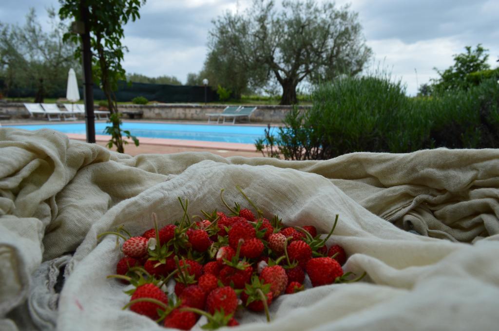 Agriturismo Eco-Bio Villa Vacasio Pitigliano Zewnętrze zdjęcie