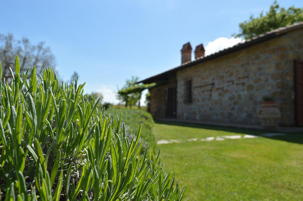 Agriturismo Eco-Bio Villa Vacasio Pitigliano Zewnętrze zdjęcie