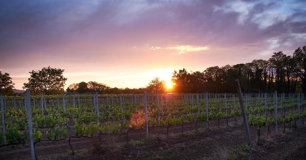 Agriturismo Eco-Bio Villa Vacasio Pitigliano Zewnętrze zdjęcie